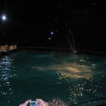 IMG_1287