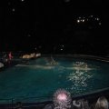IMG_1288