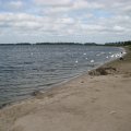 IMG_1293