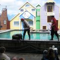 IMG_1310