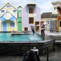 IMG_1313