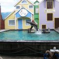 IMG_1316