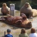IMG_1337
