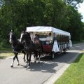 IMG_1067