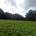 SAM_5185