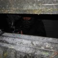 Bedrijfsuitje ASP4all bij Paintball Troopers Assen (17)