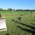 IMG_0877