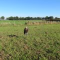 IMG_0881