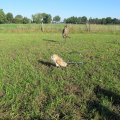IMG_0882