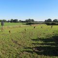 IMG_0885