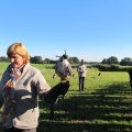 IMG_0886