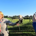 IMG_0890