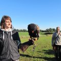IMG_0909