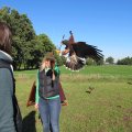 IMG_0921