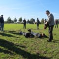 IMG_0933