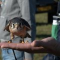 1-DSC_0709