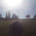IMAG0297