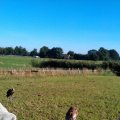 IMAG0298