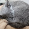 IMG_0959