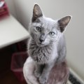IMG_0964