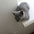 IMG_0970