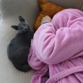 IMG_1084