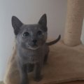 blue1 op 7 Maart