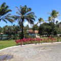 IMG_1330