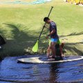 IMG_1347