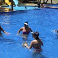 IMG_1356