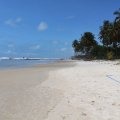 IMG_1389