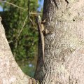 IMG_1418