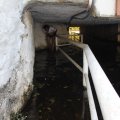 IMG_1424