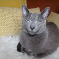 IMG_1473
