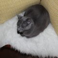IMG_1474