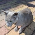 IMG_1479