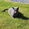 IMG_1483