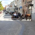 IMG_1541