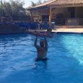 IMG-20190912-WA0012