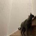 IMG_0230