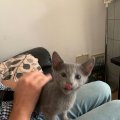 IMG-20190811-WA0048