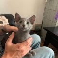 IMG-20190811-WA0065
