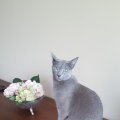 IMG-20180706-WA0000