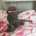 IMG-20180811-WA0003