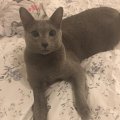 IMG-20181122-WA0000