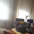 IMG-20181203-WA0000