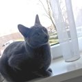 IMG-20190410-WA0002