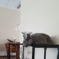 IMG-20190606-WA0005