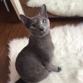 IMG-20190627-WA0000