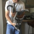 IMG-20190807-WA0000